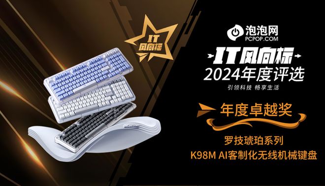 】2024年度评选：年度卓越奖凯发k8国际登录【IT风向标
